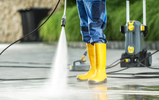 Best Roof Pressure Washing  in Tatamy, PA
